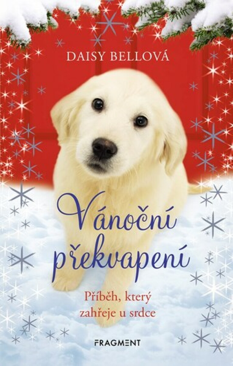 Vánoční překvapení (Příběh, který zahřeje u srdce) - kniha z kategorie Beletrie pro děti