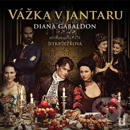Vážka v jantaru