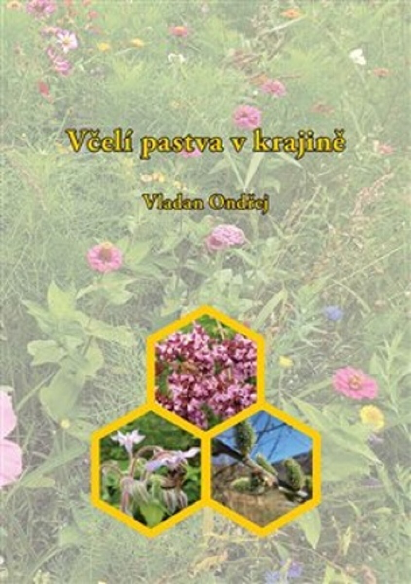 Včelí pastva v krajině - Ondřej Vladan