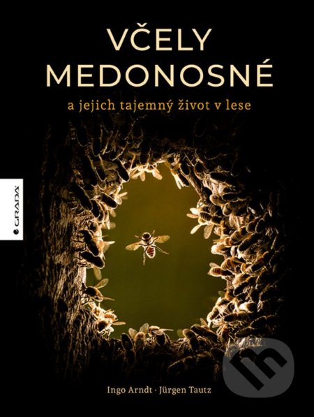 Včely medonosné (a jejich tajemný život v lese)