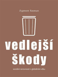 Vedlejší škody (Sociální nerovnosti v globálním věku) - kniha z kategorie Politologie a politika