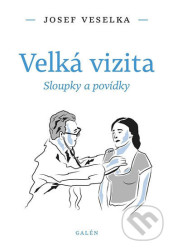 Velká vizita (Sloupky a povídky)