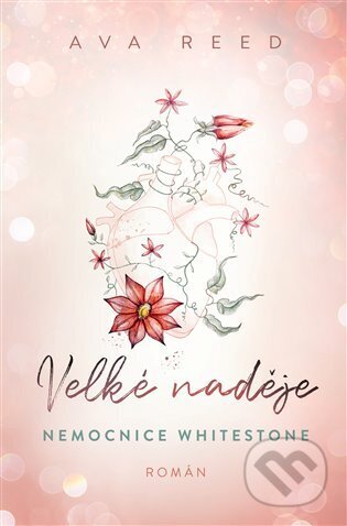 Velké naděje