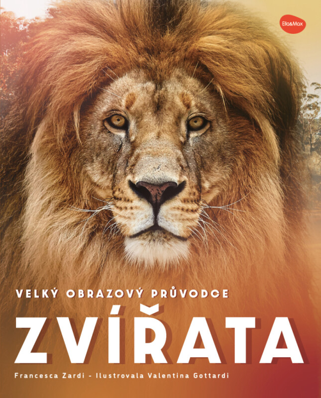 Velký obrazový průvodce ZVÍŘATA - Francesca Zardin, Valentina Gottardi