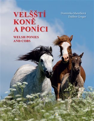 Velští koně a poníci