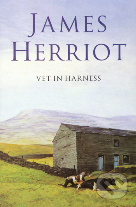 Vet in Harness