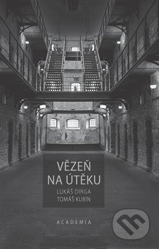 Vězeň na útěku