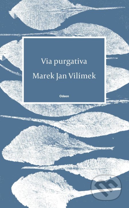 Via purgativa