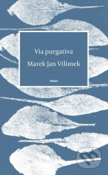 Via purgativa