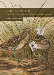 Vidět nebo číst (Kapitoly o vztahu obrazu a slova v moderním umění) - kniha z kategorie Grafický design