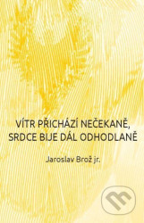 Vítr přichází nečekaně, srdce bije dál odhodlaně