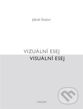 Vizuální esej / Visuální esej