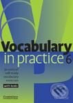 Vocabulary in Practice 6 - Upper Intermediate