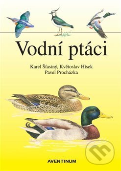 Vodní ptáci