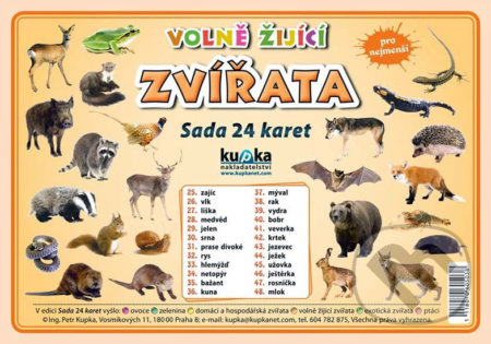 Volně žijící zvířata - Sada 24 karet