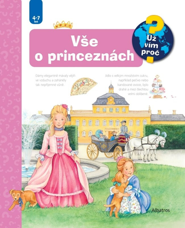 Vše o princeznách - Andrea Erne