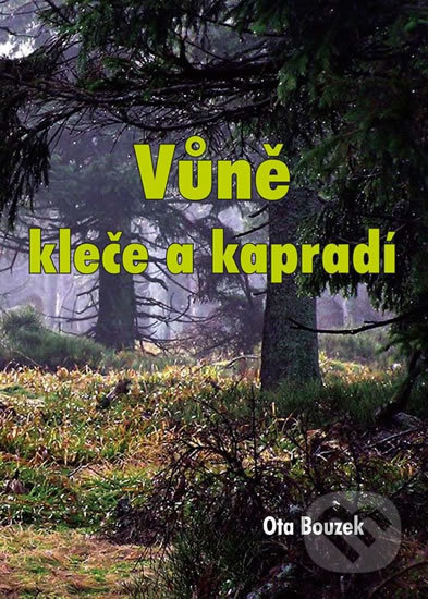 Vůně kleče a kapradí