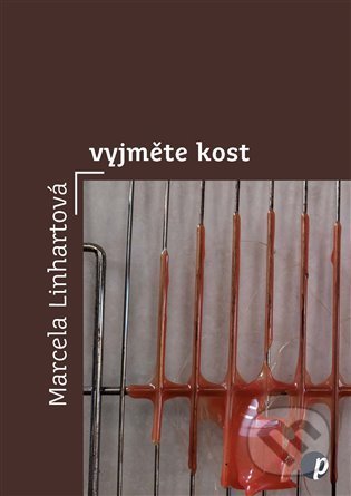 Vyjměte kost