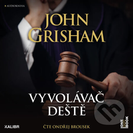 Vyvolávač deště (audiokniha) (CD (mp3))