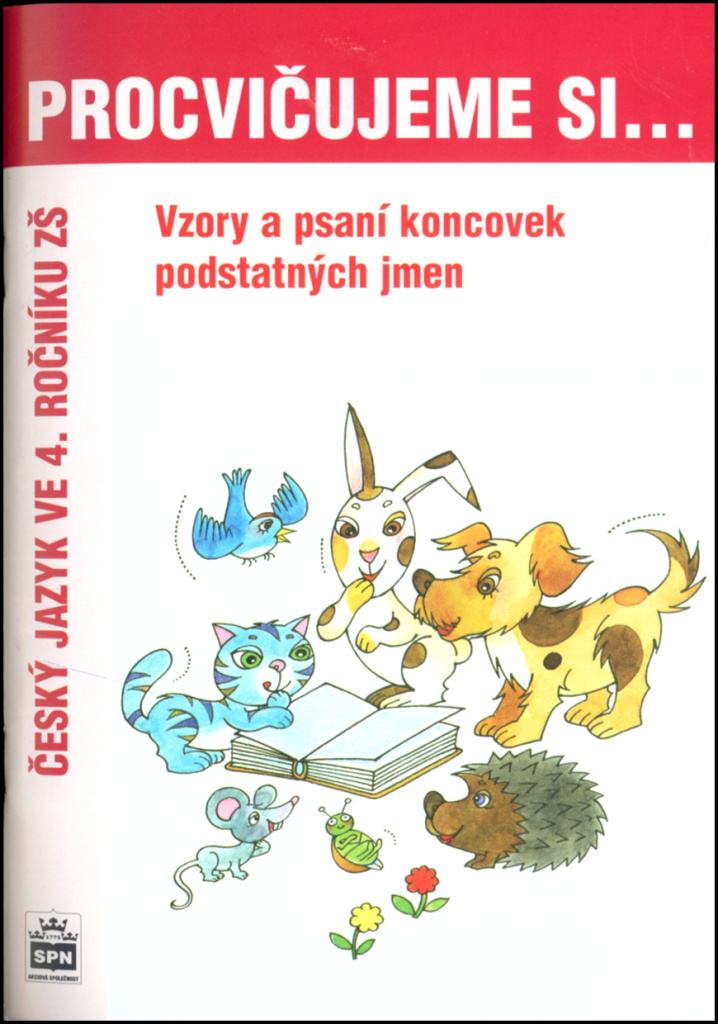 Vzory a psaní koncovek podstatných jmen