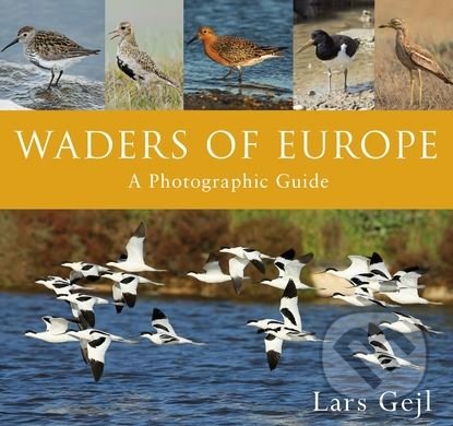 Waders of Europe (A Photographic Guide)