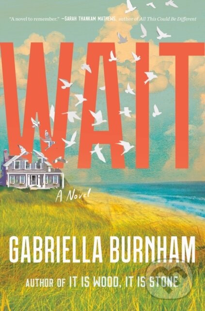 Wait (A Novel)