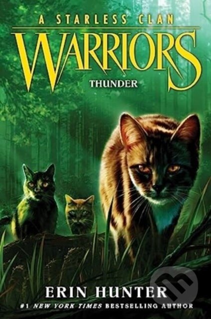 Warriors: A Starless Clan #4: Thunder