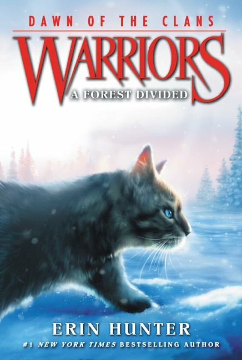 Warriors - Dawn of the Clans 5: A Forest Divided