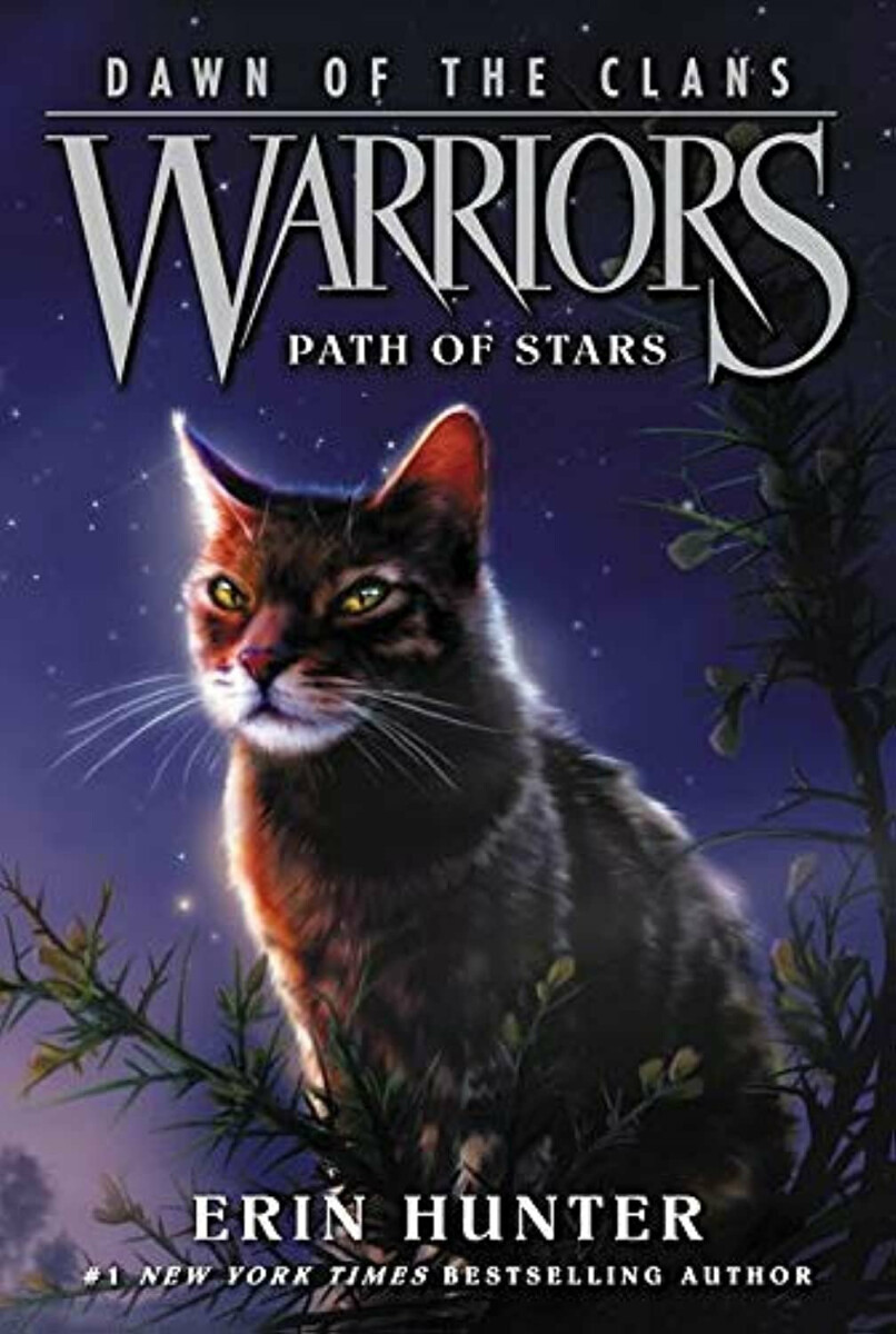 Warriors - Dawn of the Clans 6: Path of Stars
