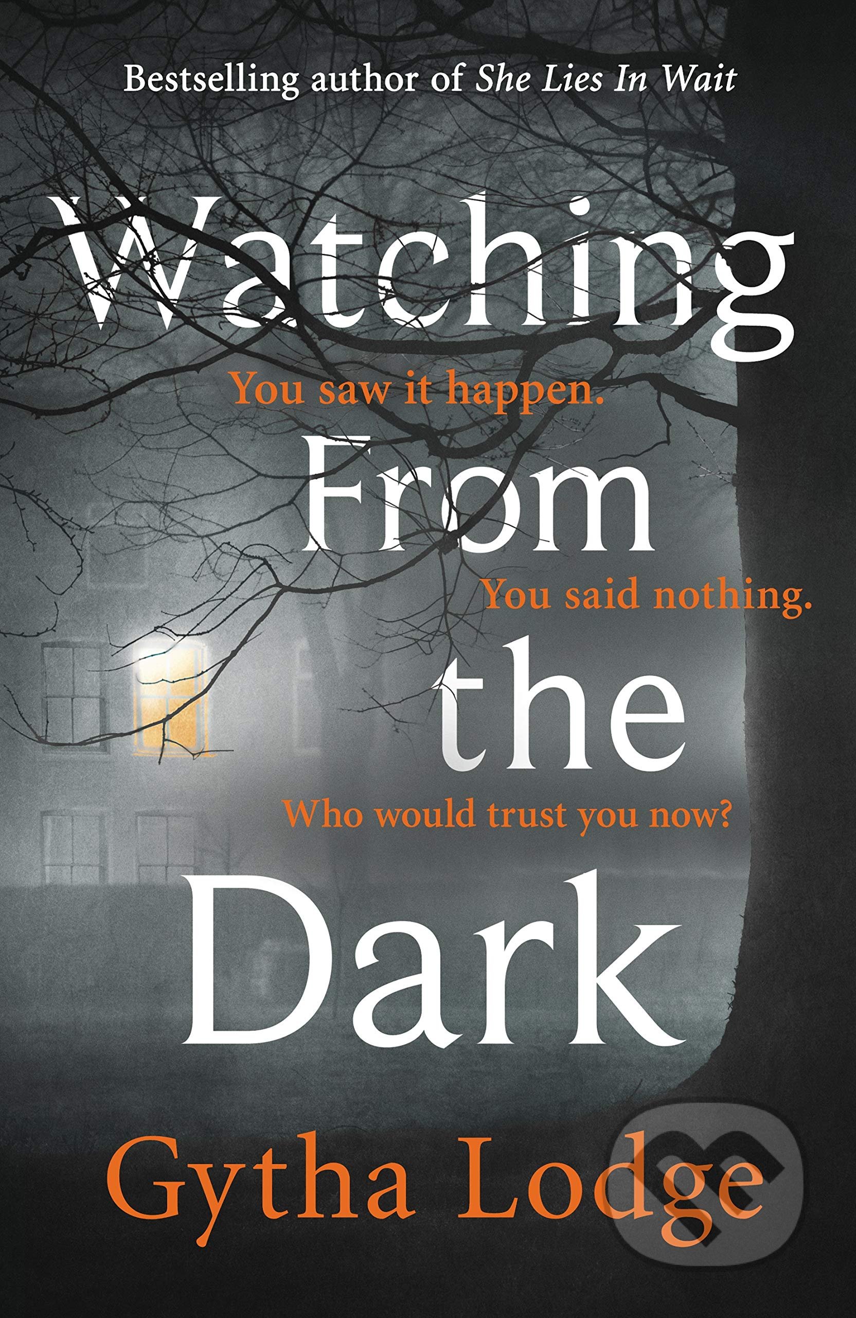 Watching from the Dark