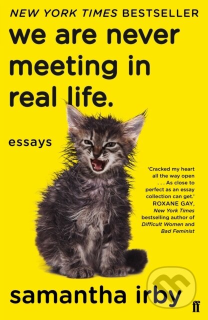 We Are Never Meeting in Real Life (Essays)