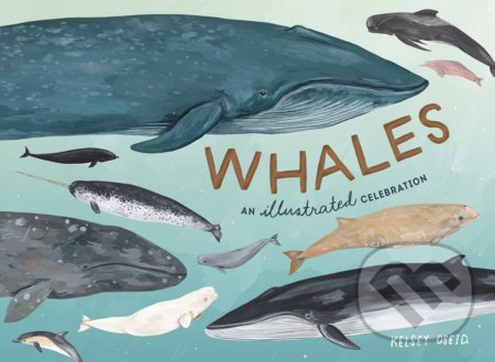 Whales (An Illustrated Celebration)