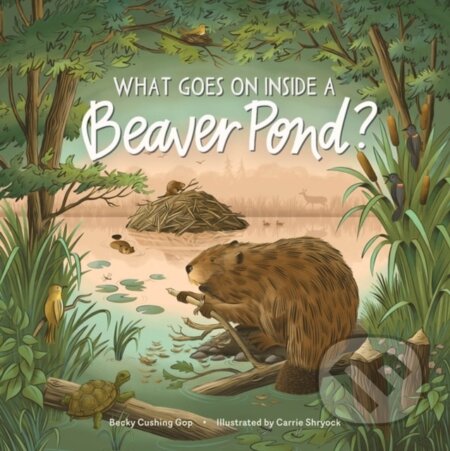What Goes on inside a Beaver Pond?