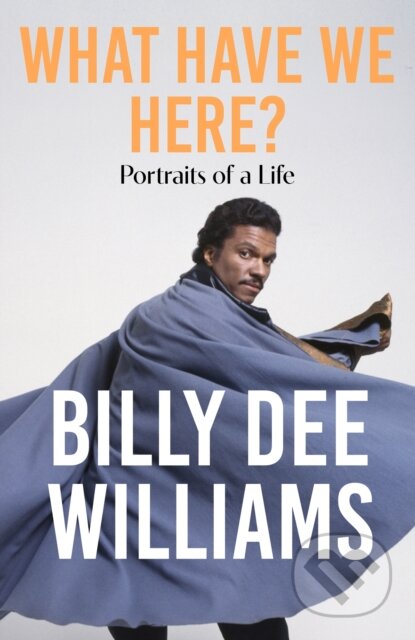 What Have We Here (Portraits of a Life)