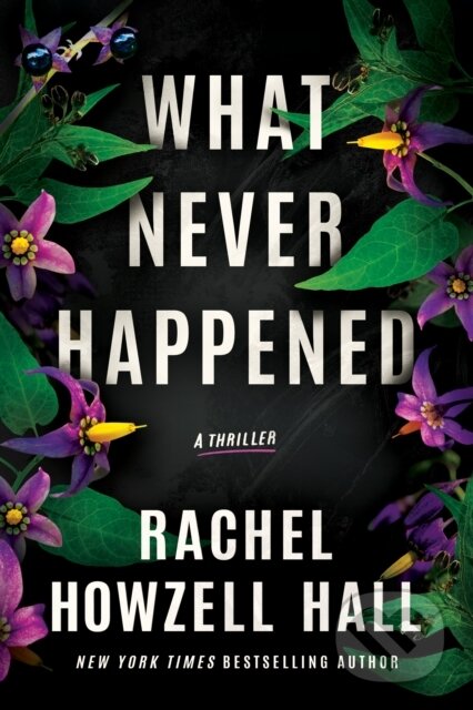What Never Happened (A Thriller)