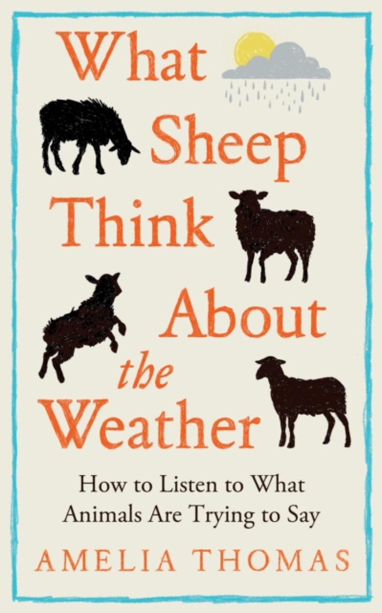 What Sheep Think About the Weather