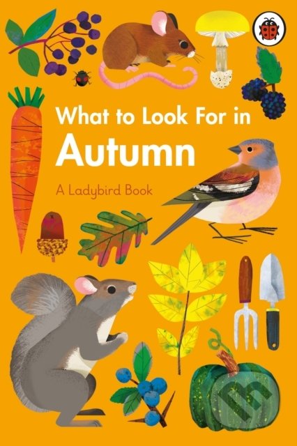 What to Look For in Autumn