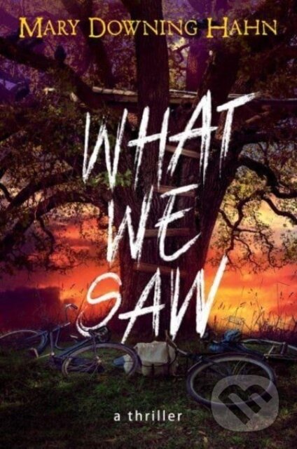 What We Saw (A Thriller)
