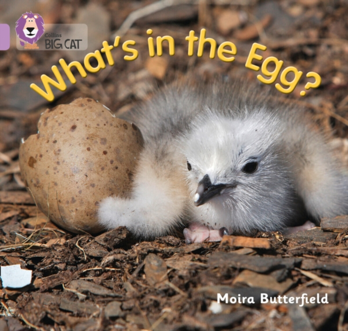 Whatâ€™s in the Egg?