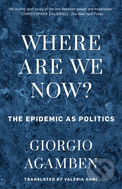 Where Are We Now? (The Epidemic as Politics)