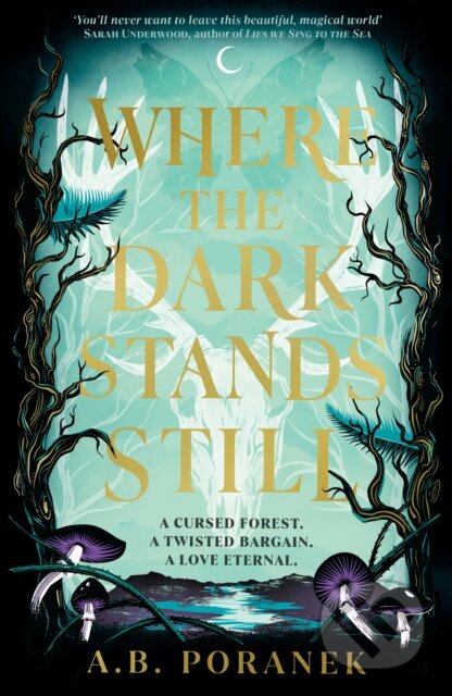 Where the Dark Stands Still