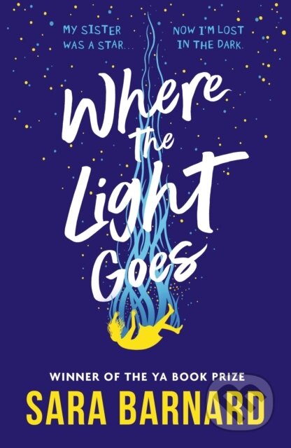Where the Light Goes
