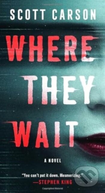 Where They Wait (A Novel)