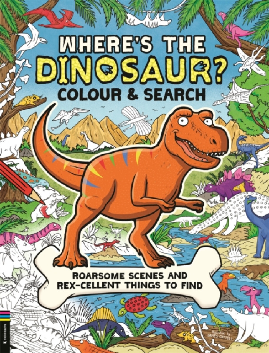 Whereâ€™s the Dinosaur? Colour and Search
