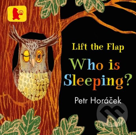 Who Is Sleeping