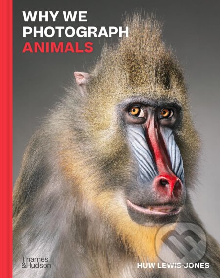 Why We Photograph Animals