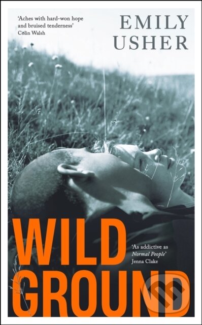 Wild Ground ('As addictive as Normal People'