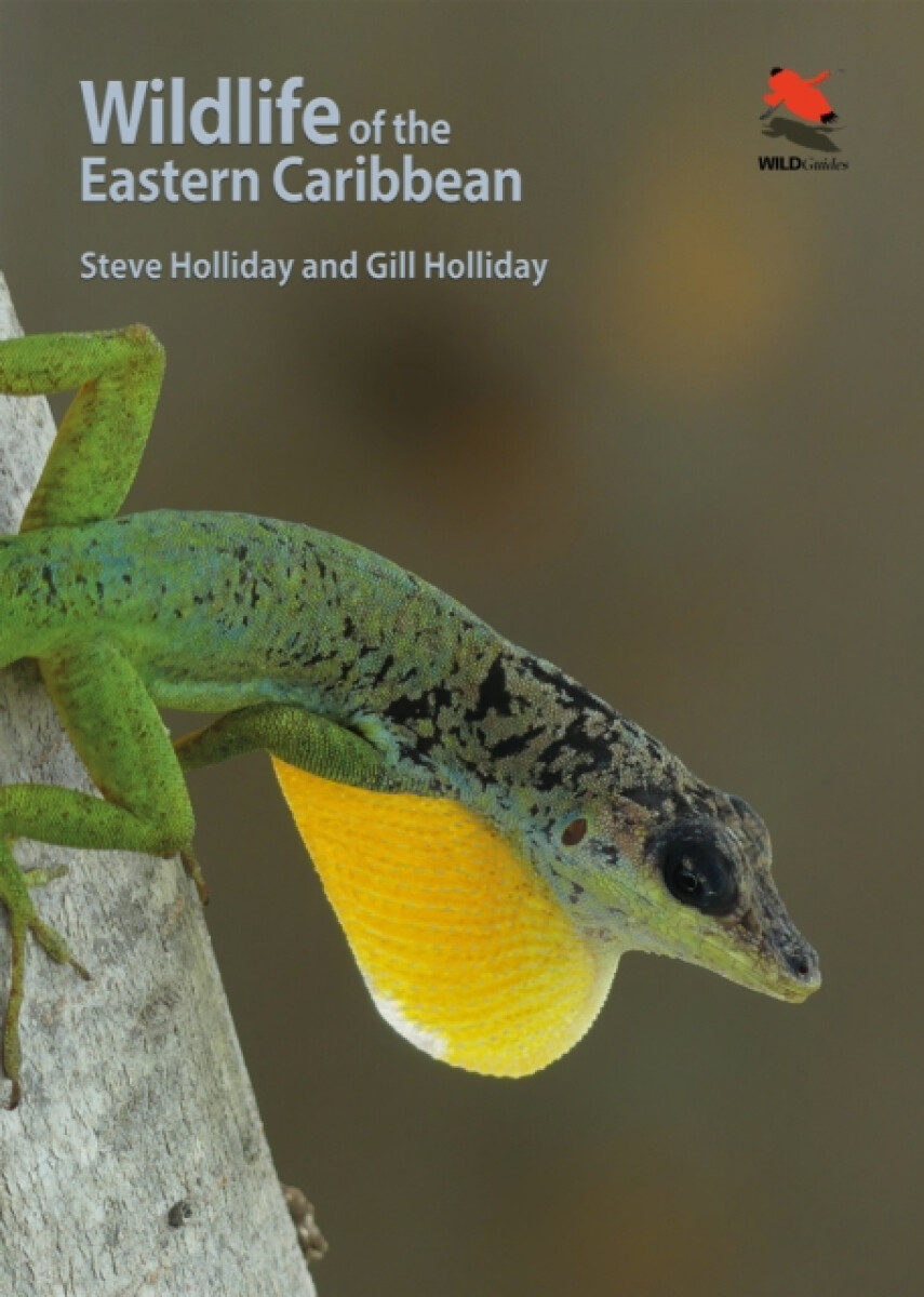 Wildlife of the Eastern Caribbean