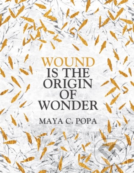 Wound is the Origin of Wonder