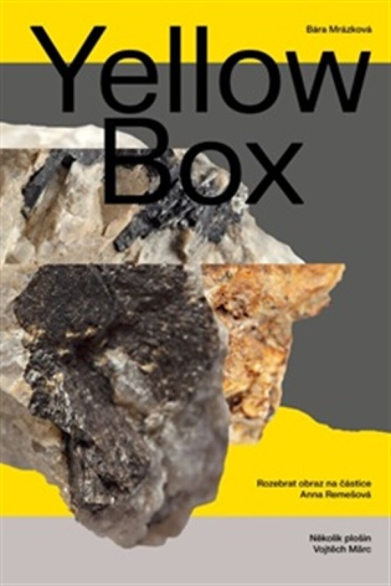Yellow Box - Bára Mrázková